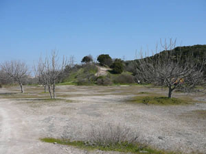 Foto: Fotis Kerasaridis
